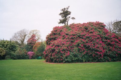 Heligan