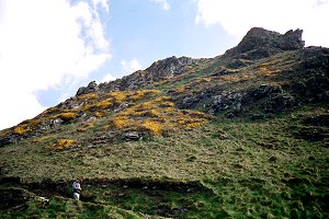 tintagel