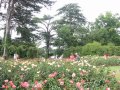 The Rose Garden, Blenheim Palace
