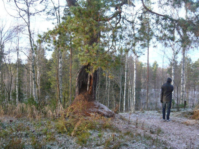 foto Birgitta