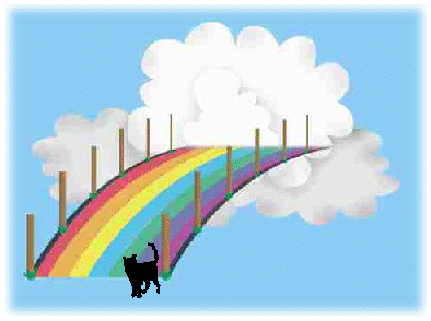 RainbowBridge