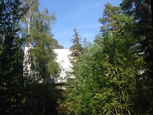 The house on the hill in the forest