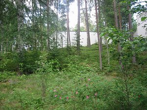 StDavid's Retreat house in the forest