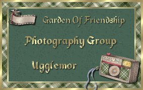 Photography Group -Ugglemor
