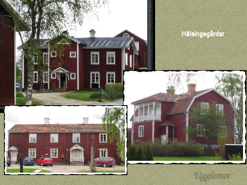 Swedish red painted houses