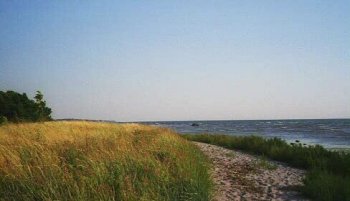 Beach/stranden