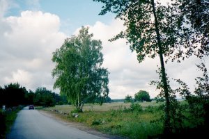 Strandvägen i Ljugarn