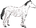 The Stream Horse