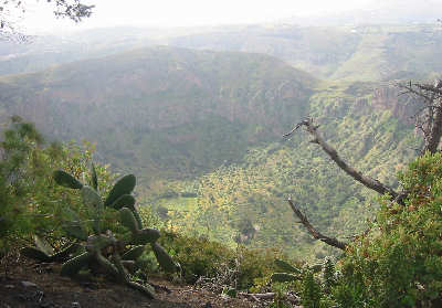 Gran Canaria Badama crater