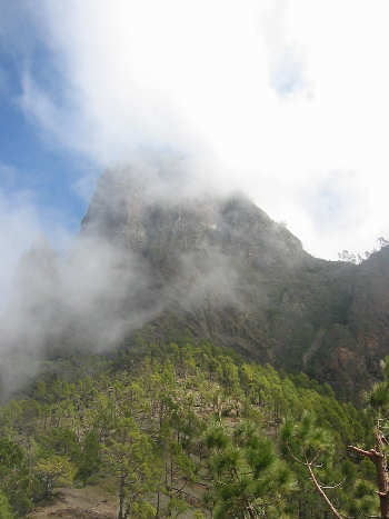 laPalma3