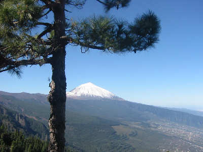 Teide