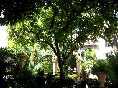 Garden at Roman bath