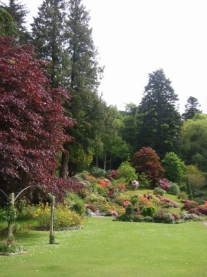 Ballindalloch Garden