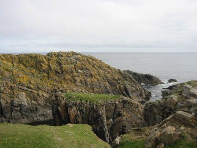 cliffs with merganser