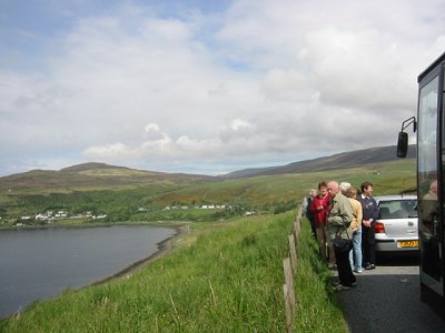 Uig gorse