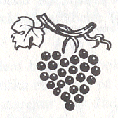 vindruvor