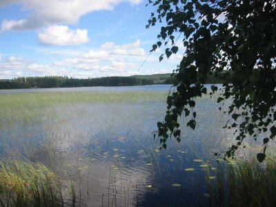 Södra Våsen/Forest Lake