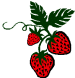 wild strawberry