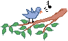 singing bird