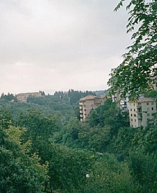 Siena1