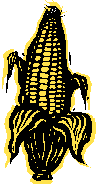 corncob