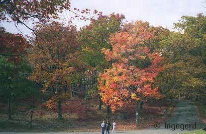Oktober New Jersey 1998